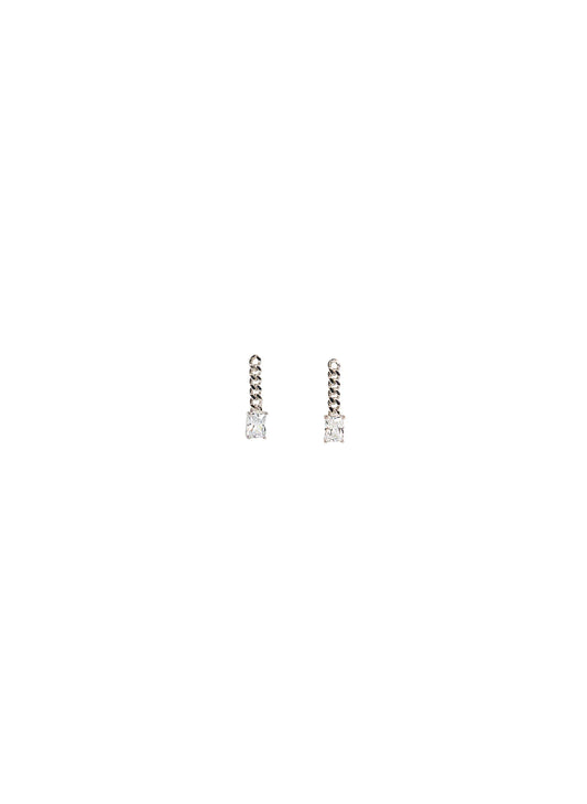 Dropping Stone Earrings Silv/Clear